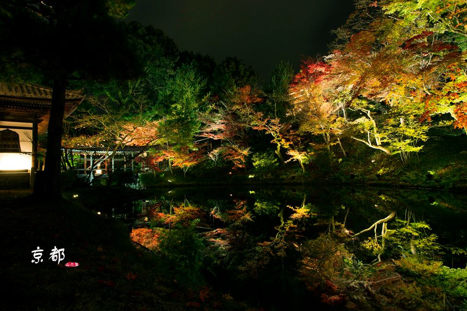 http://i.dcview.tw/gallery/201412/86508d0174c25d238f6749b162e469f1.jpg