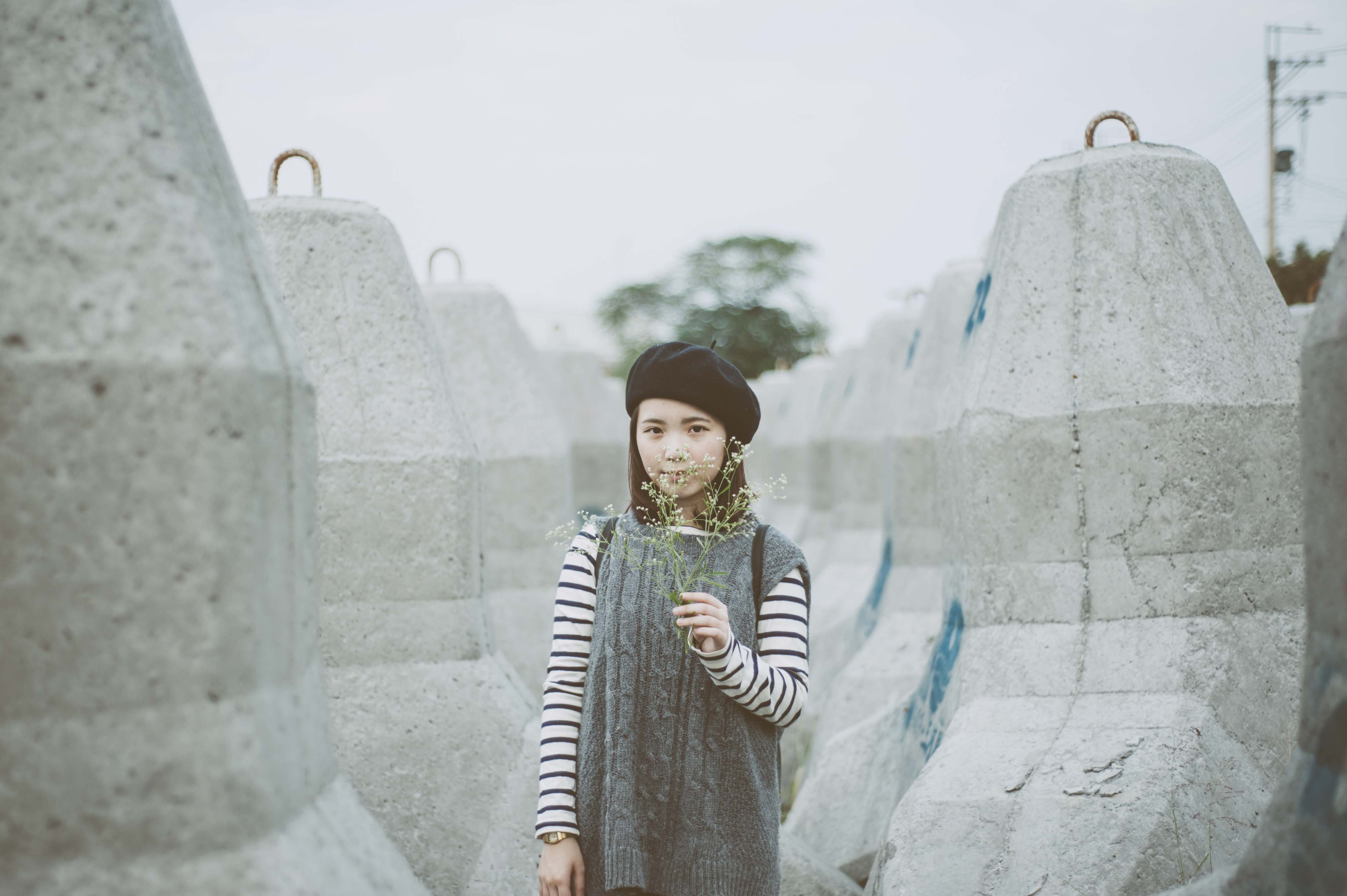 http://i.dcview.tw/gallery/201412/976d31d61801faedf4a97211852897e7.jpg