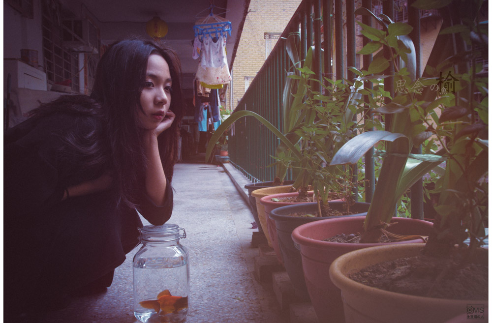 http://i.dcview.tw/gallery/201412/a84aeceff0c764f5d604cd66d18d8f37.jpg