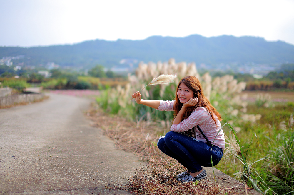 http://i.dcview.tw/gallery/201412/dafaf234aa93c84e742036367b0f381e.jpg