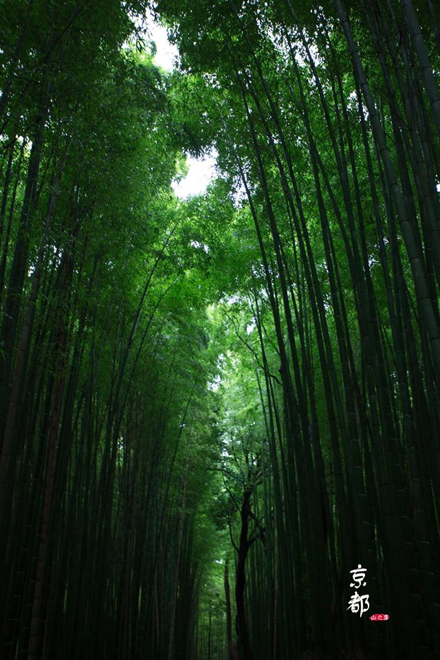 http://i.dcview.tw/gallery/201412/e437a532b85e1e518fbaaacdcc5a0901.jpg