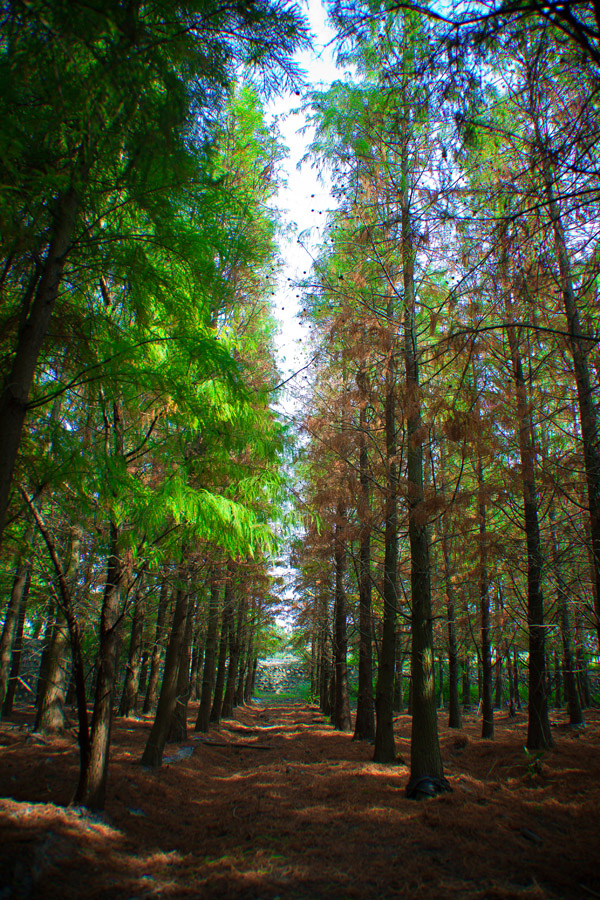 http://i.dcview.tw/gallery/201412/f00efef5454e7c303fb3da7cd47616c5.jpg