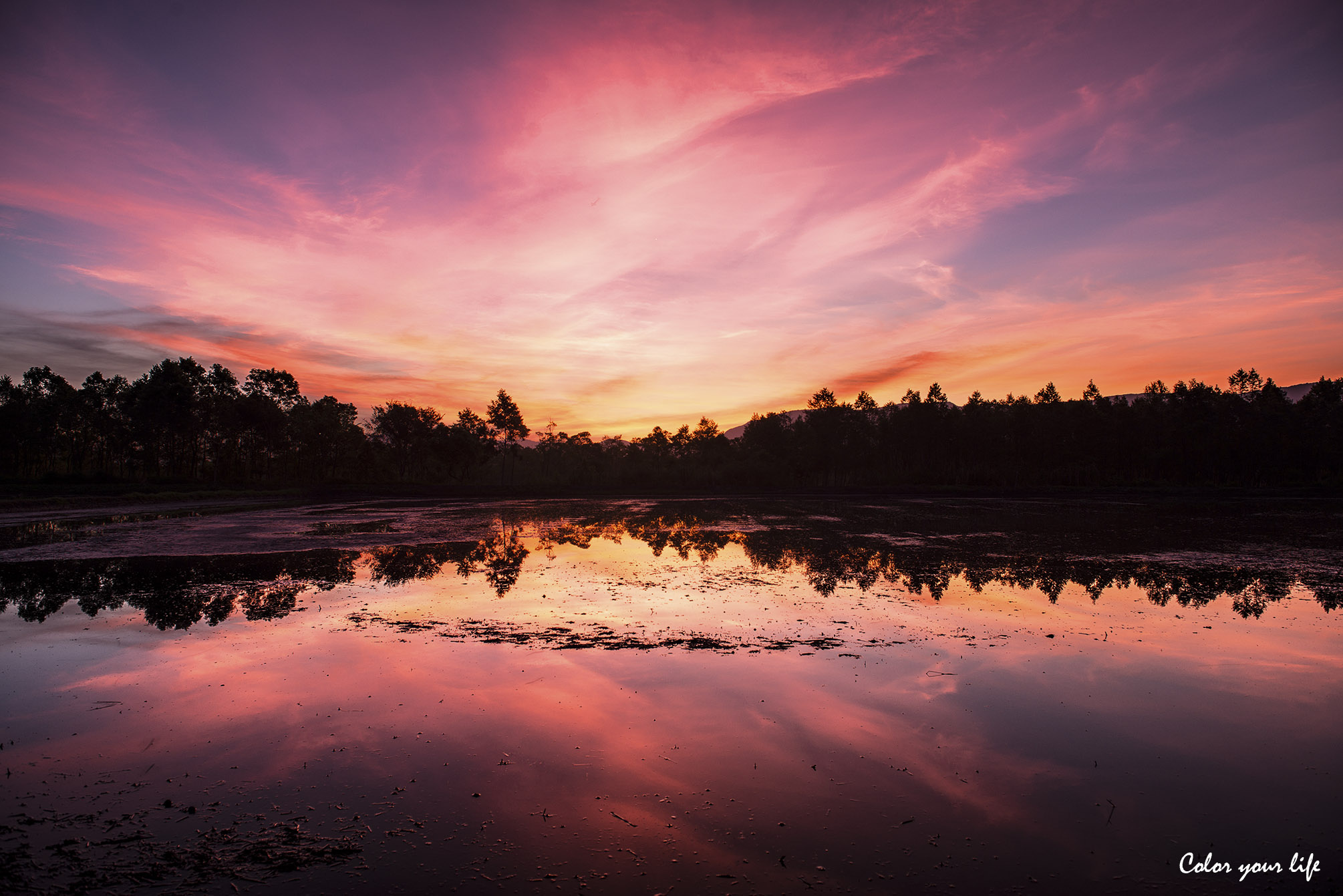 http://i.dcview.tw/gallery/201501/03ddeb7f951d03f7d2052b3017423c6d.jpg