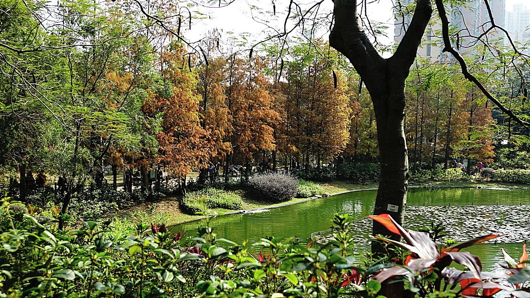 http://i.dcview.tw/gallery/201501/0badb76e84cad971911a2cd3f8ed5afc.jpg