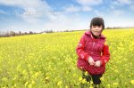 通霄姐妹花田趣