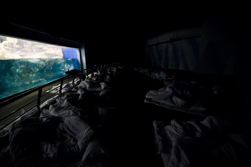 http://i.dcview.tw/gallery/201501/4e2cf6f8676e992dd17dd44513dca405.jpg