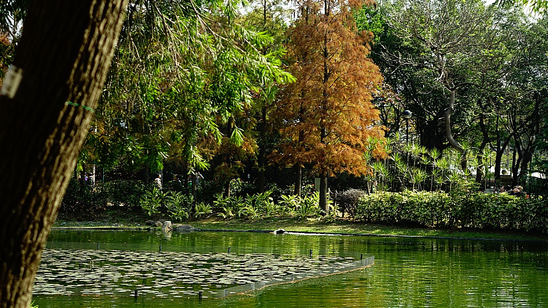http://i.dcview.tw/gallery/201501/5c5b73e80b1e921dd2358518a133c3af.jpg