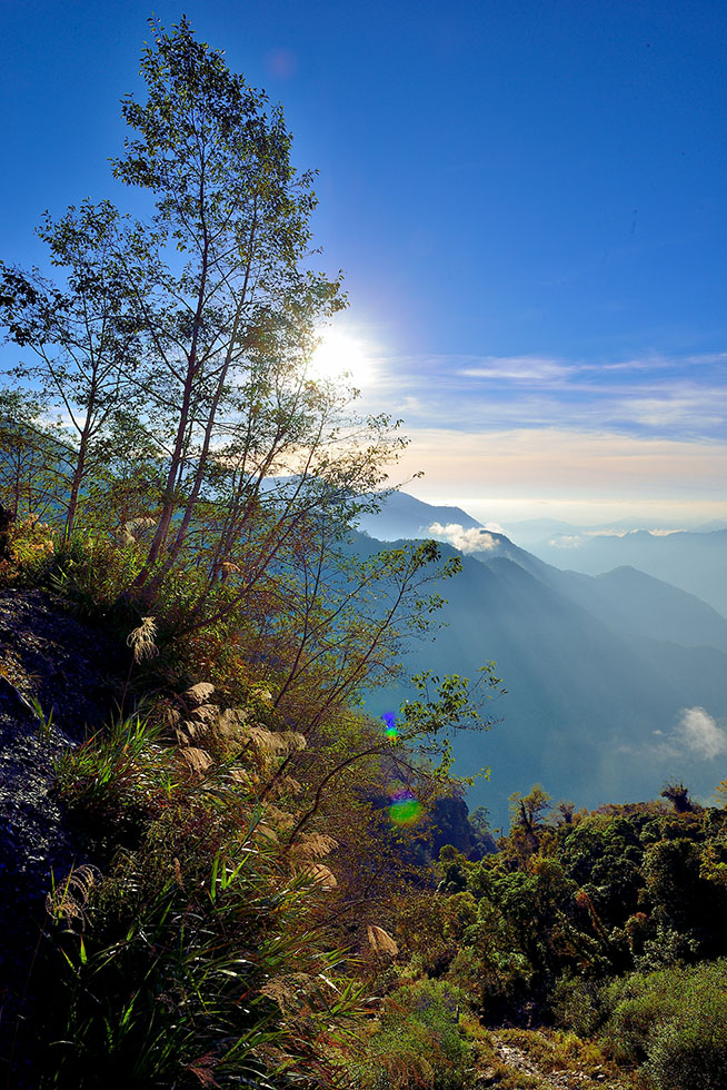 http://i.dcview.tw/gallery/201501/756e601bfb71e3c830ee5817cf821d8b.jpg