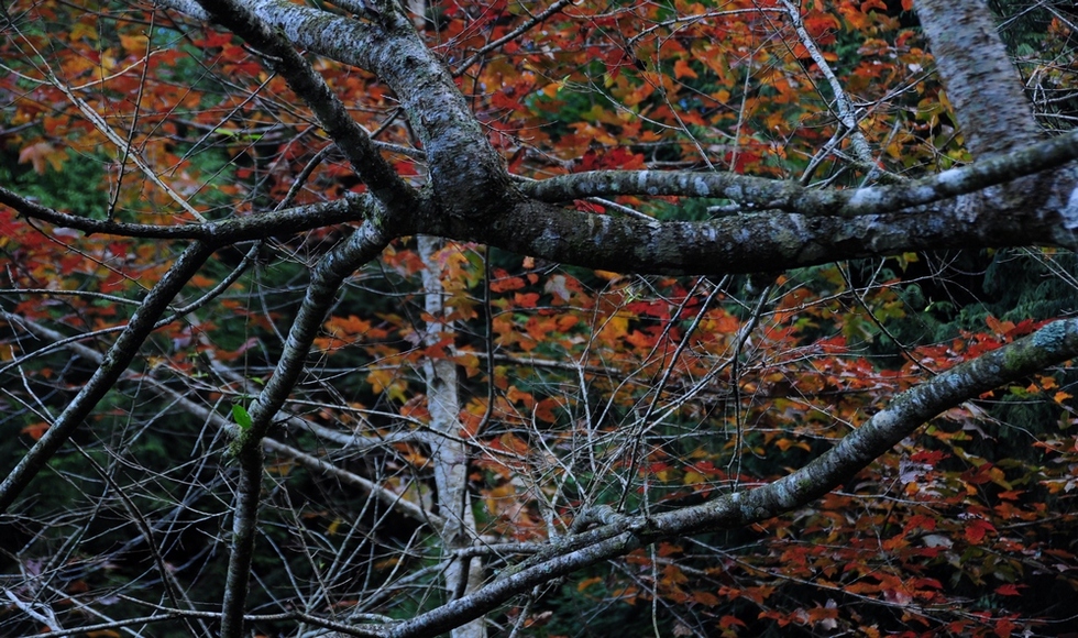 http://i.dcview.tw/gallery/201501/8f5783e5a6b375c6bf4e2a964017ccd4.jpg