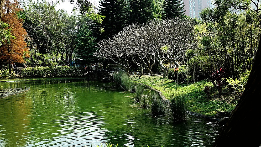 http://i.dcview.tw/gallery/201501/a226f21cf5adcd9b48c9d3f793b0c39b.jpg