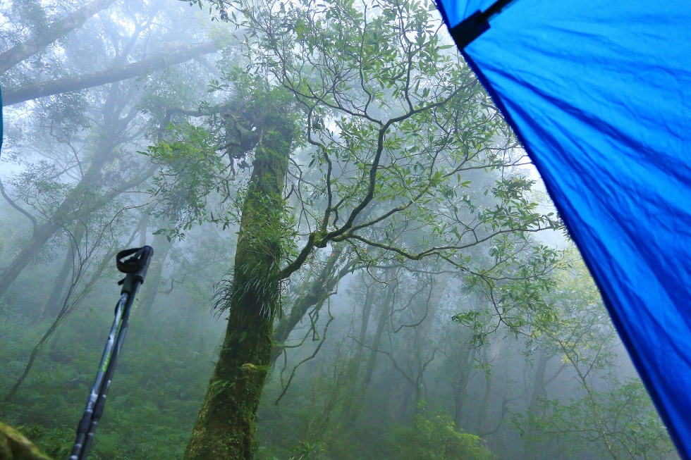 http://i.dcview.tw/gallery/201501/a28c874d5dd67c4d70807f172665827f.jpg