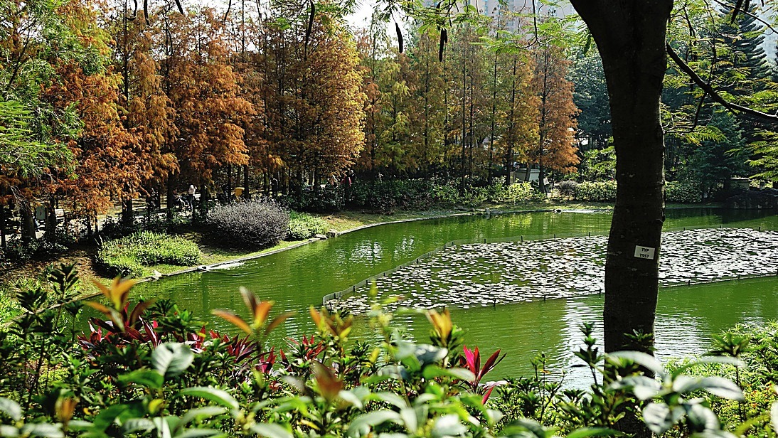 http://i.dcview.tw/gallery/201501/adc033ad418fceb94a64748158fdf5f2.jpg