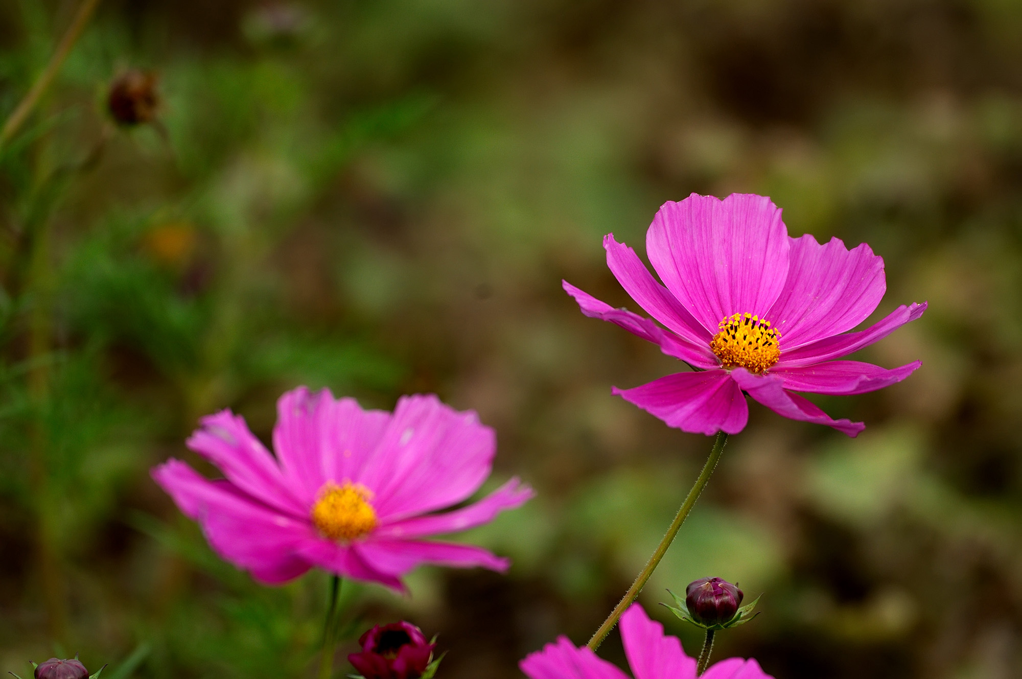 http://i.dcview.tw/gallery/201501/b6981b29f4fcc52a7c6353490a734b4a.jpg
