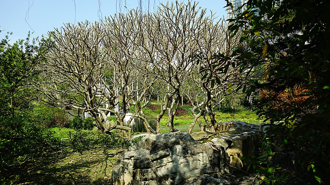 http://i.dcview.tw/gallery/201501/bfb3222c8dd44450503707f85a1d2aa9.jpg