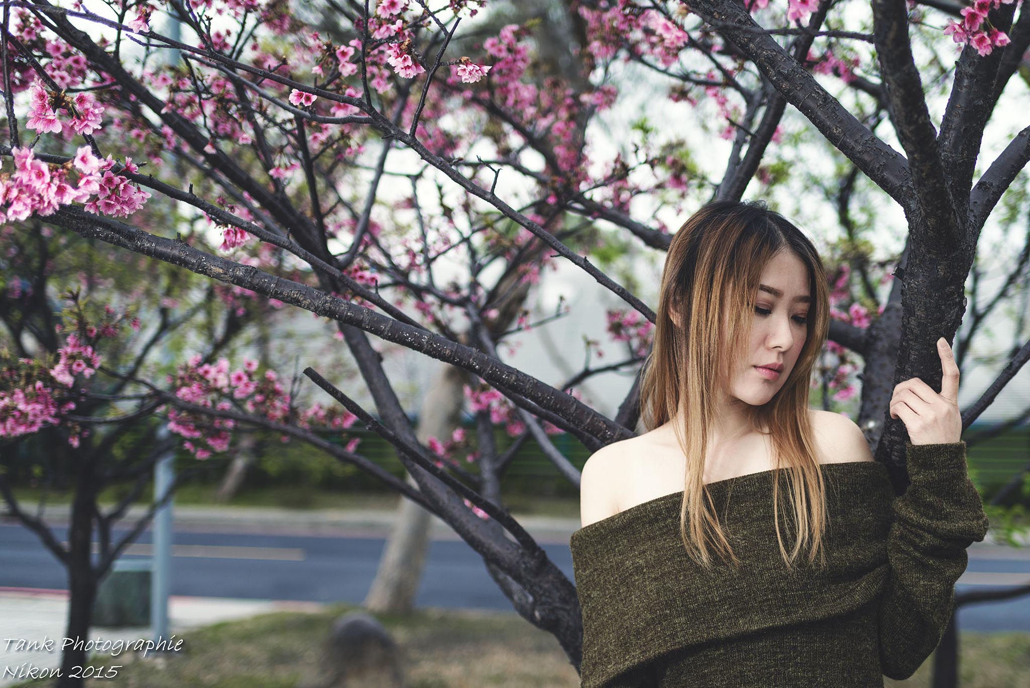 http://i.dcview.tw/gallery/201502/044d818fb99ed87e2a7804530170dcac.jpg