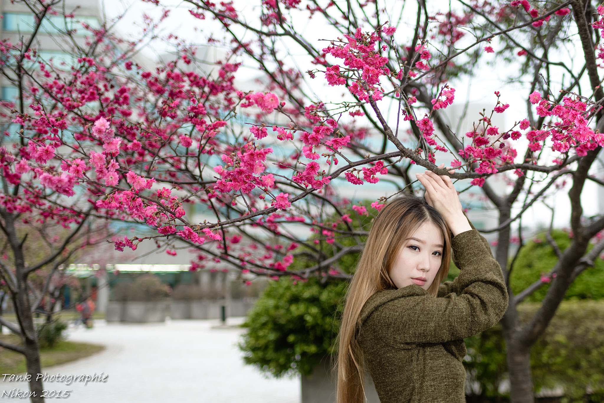 http://i.dcview.tw/gallery/201502/0842f6aea95f9646ed186c78cf269282.jpg