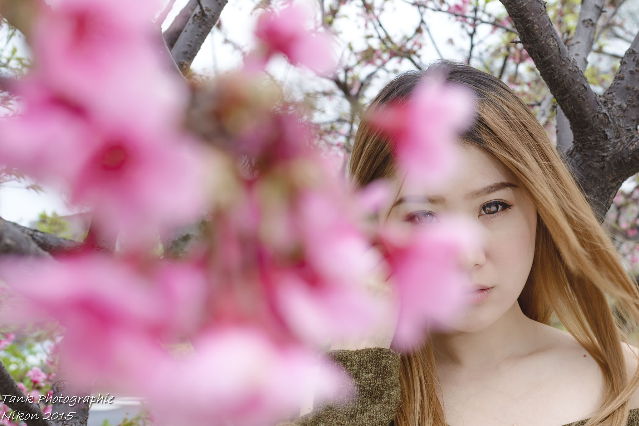 http://i.dcview.tw/gallery/201502/0d3380e4964691ae1625b82bfa95188b.jpg