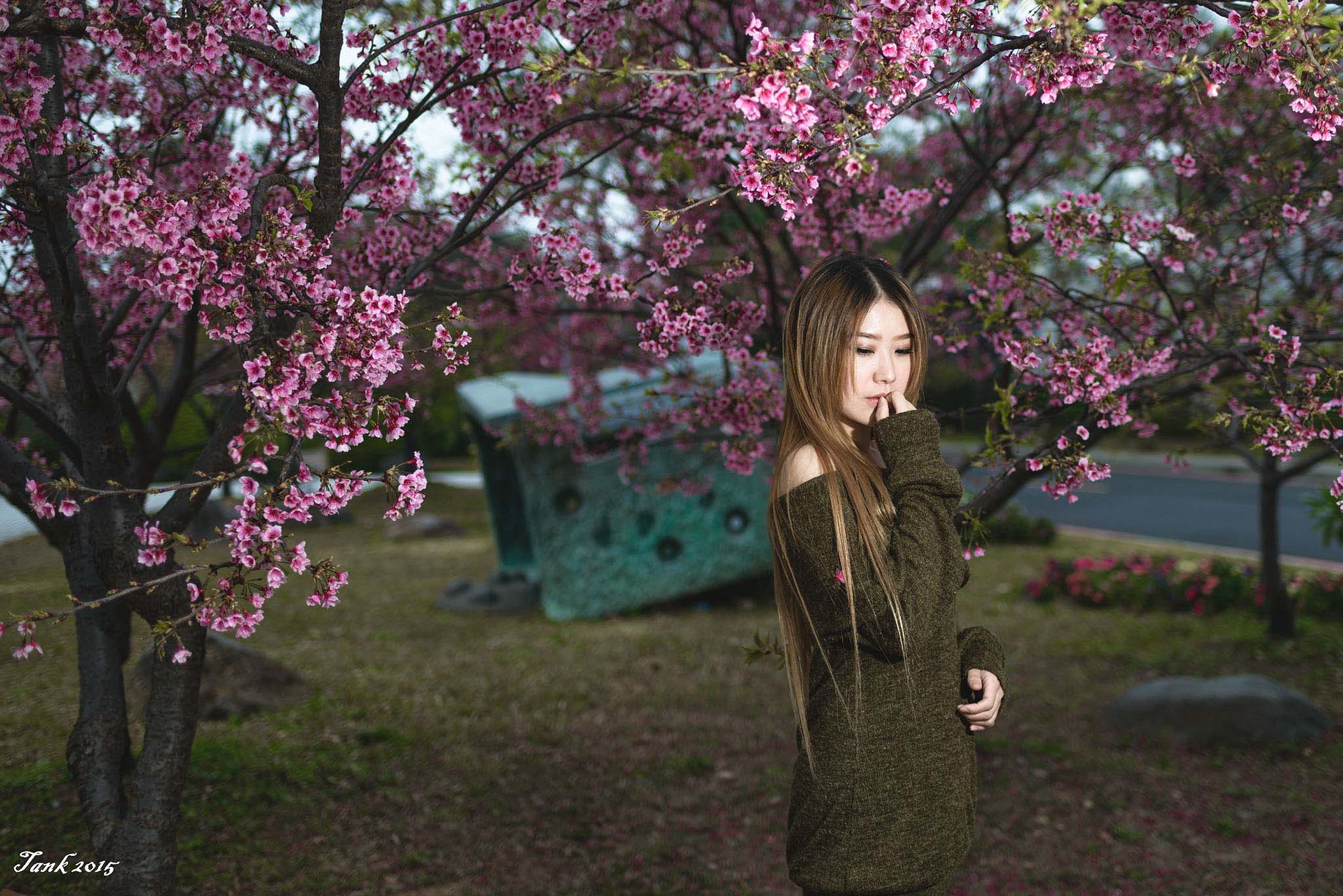 http://i.dcview.tw/gallery/201502/0ff06e04f1ceff9e6d7a11851d84da09.jpg