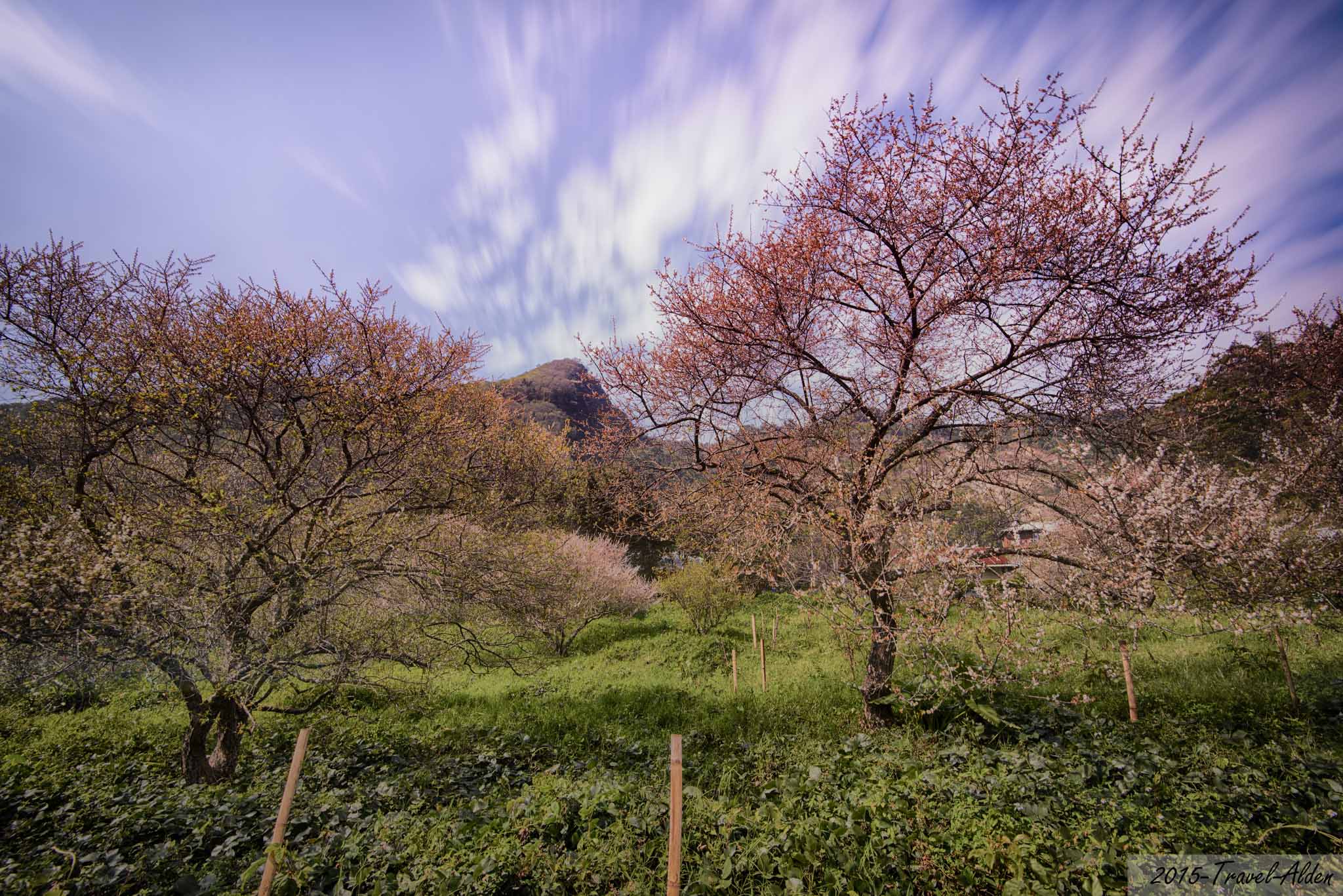 http://i.dcview.tw/gallery/201502/1b8305698c3e809d08bc20a2666e0cc9.jpg