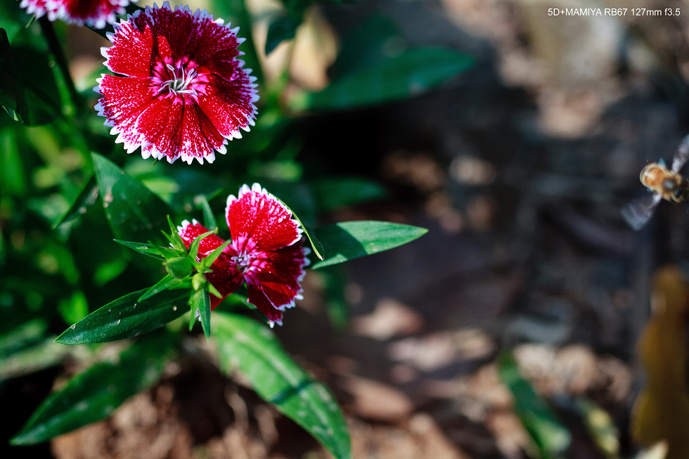http://i.dcview.tw/gallery/201502/3a09040f3428ad8f729497dc7bcd57a6.jpg