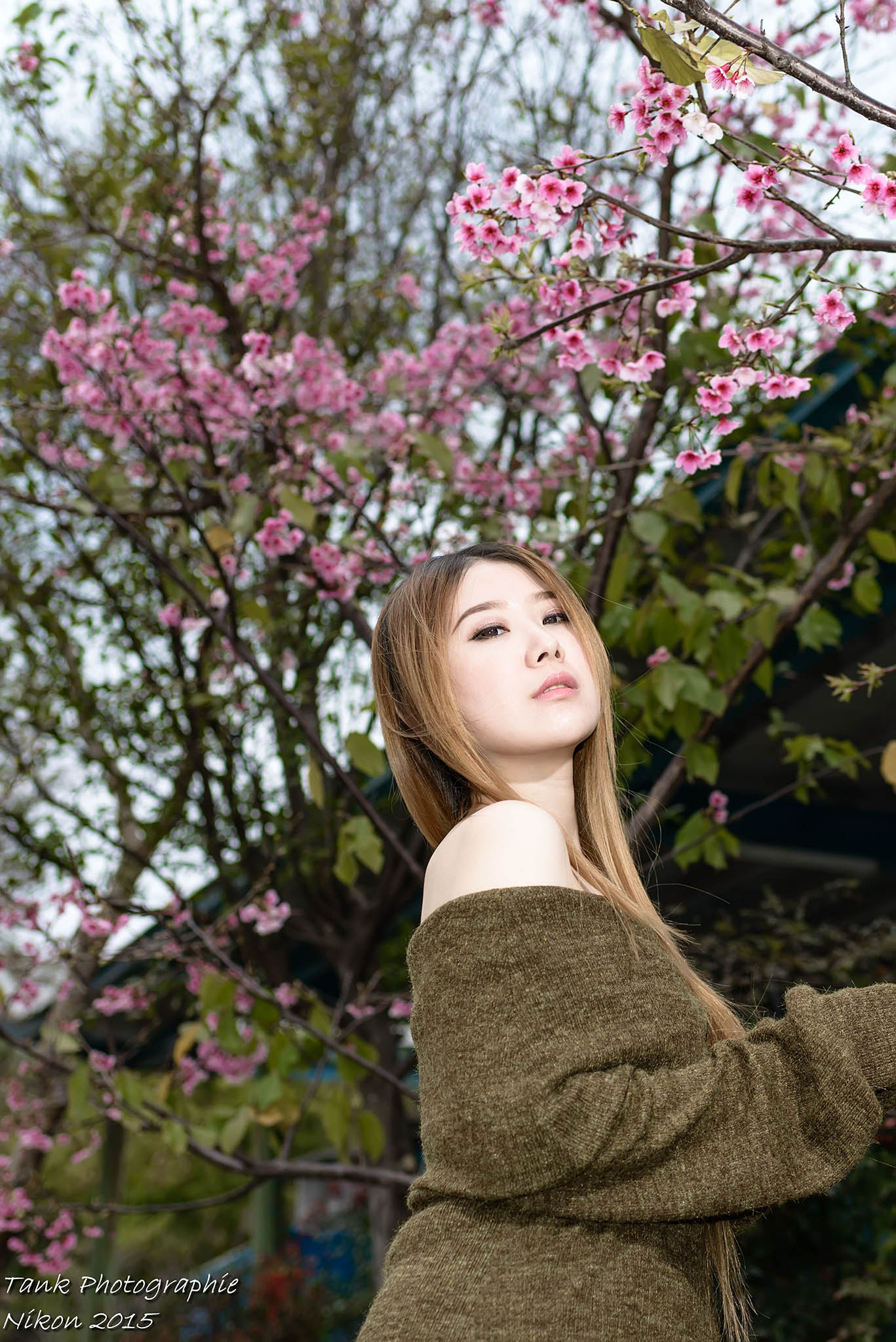 http://i.dcview.tw/gallery/201502/3c736efc0297605ad3cb3151f8d2795e.jpg