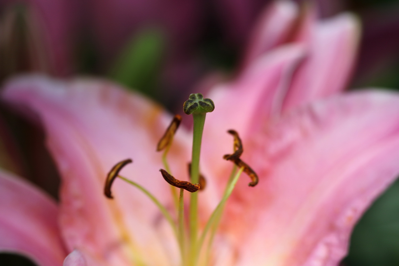 http://i.dcview.tw/gallery/201502/4a4ae4e003f8ba0e742236a1db80d206.jpg