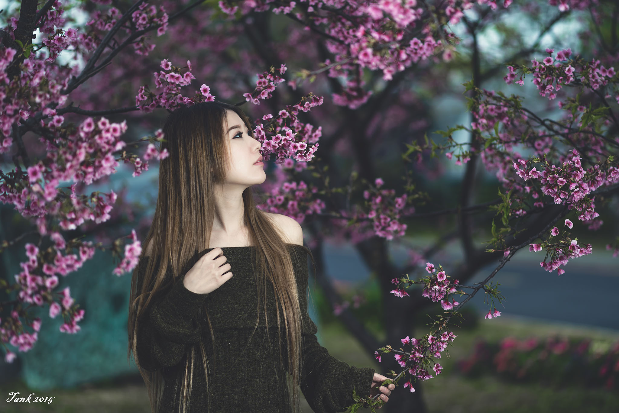 http://i.dcview.tw/gallery/201502/4a870c443b36ab2820587b47871f63ad.jpg