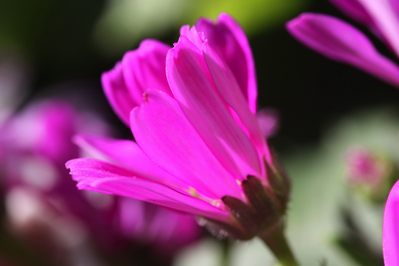http://i.dcview.tw/gallery/201502/4f9233bc67d0249bf0d964114352e11c.jpg