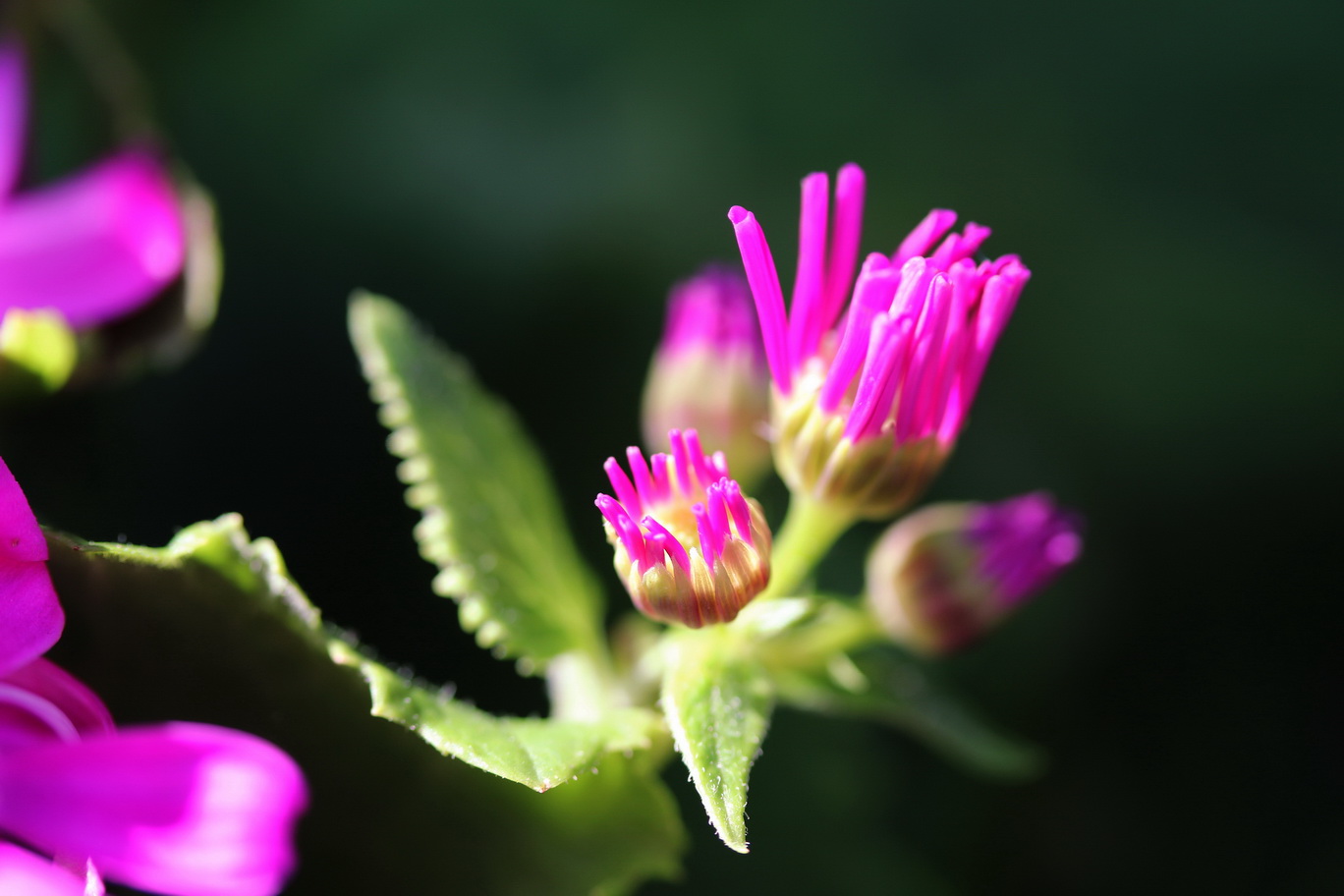 http://i.dcview.tw/gallery/201502/5c4524966231c490df16eb6001106323.jpg