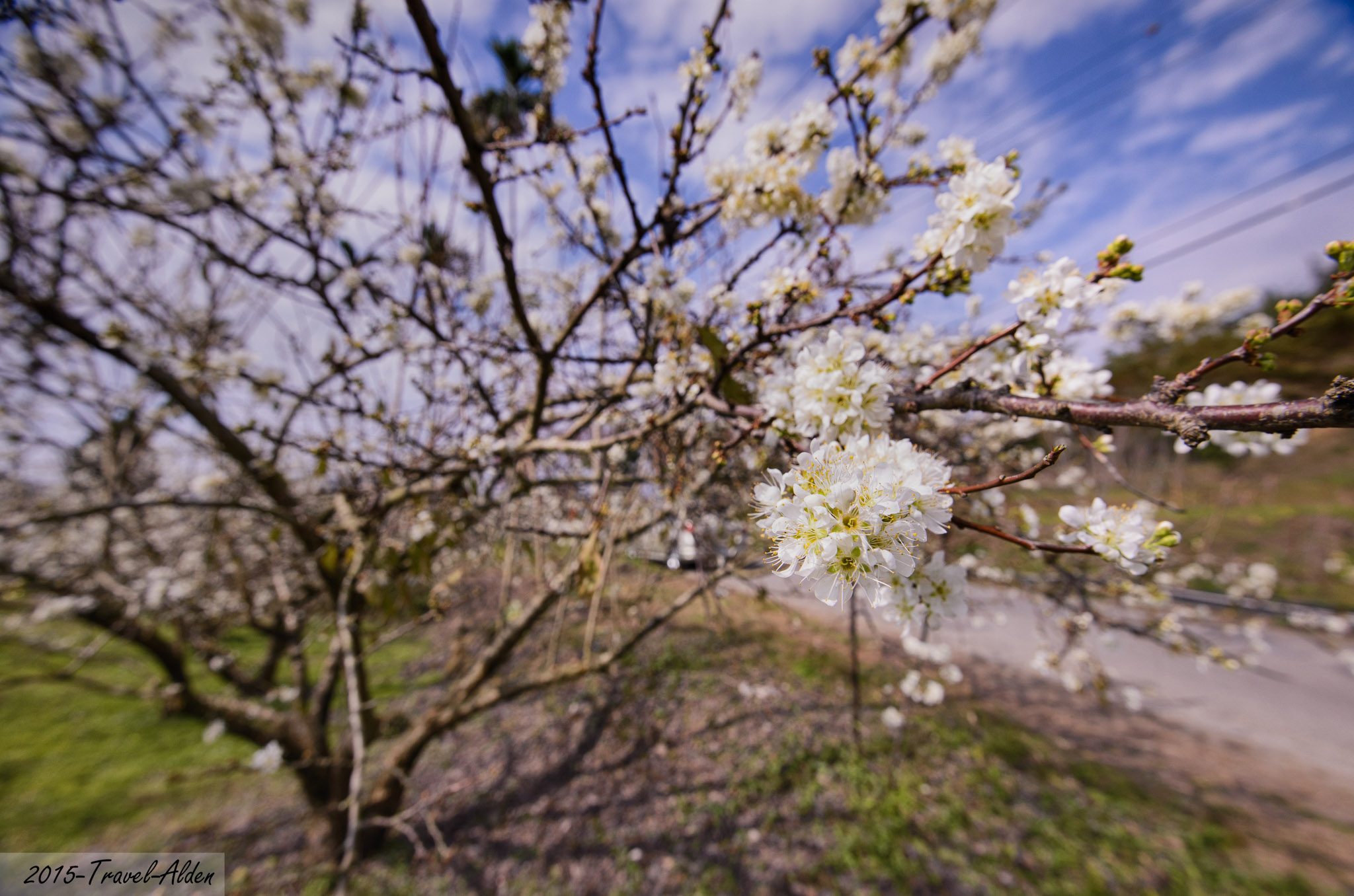 http://i.dcview.tw/gallery/201502/a5532b91f33031a609b73188799f6535.jpg