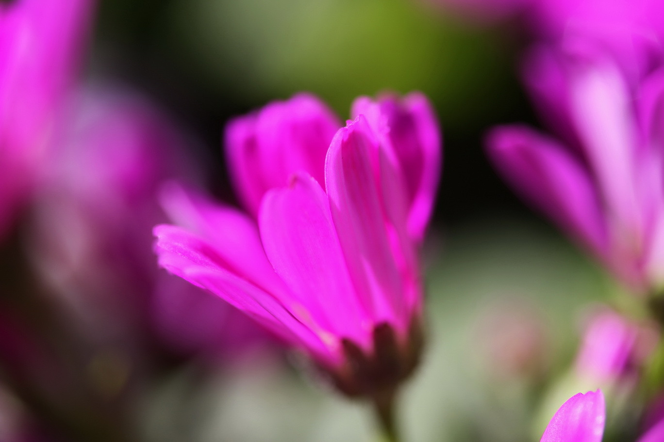 http://i.dcview.tw/gallery/201502/a8e638d5d5ca5e59fce82f8524a7b89d.jpg