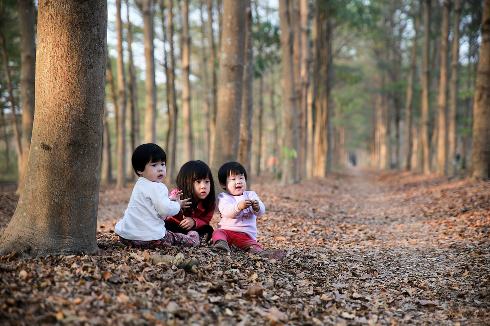 http://i.dcview.tw/gallery/201502/b516d1f2468090041dbf6830ab2e3a82.jpg