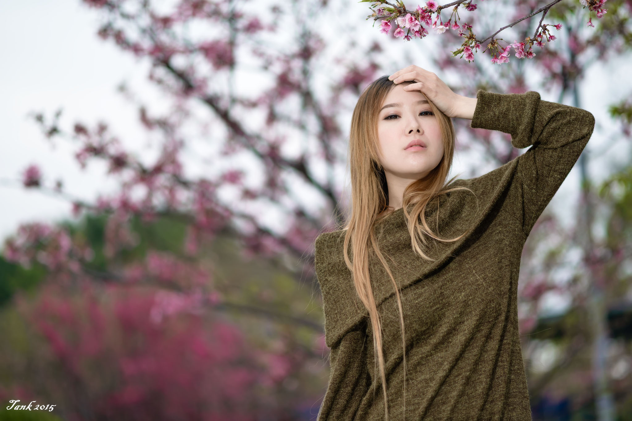 http://i.dcview.tw/gallery/201502/b80d326b1045b58cce7b8ef8adb9a194.jpg