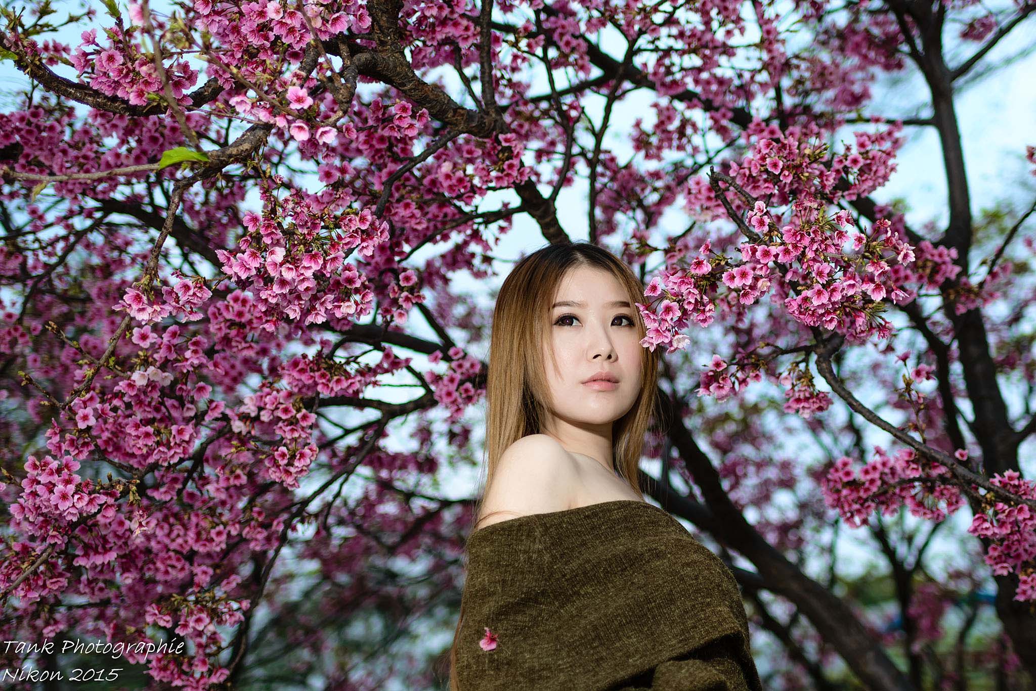 http://i.dcview.tw/gallery/201502/c165fe940f807203cdef344106f9351b.jpg