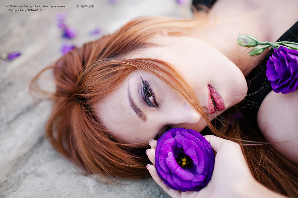 http://i.dcview.tw/gallery/201502/c84bc428142d65c27a983733d5e443fa.jpg