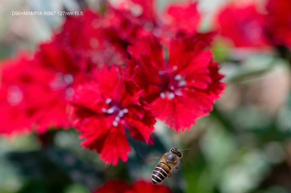 http://i.dcview.tw/gallery/201502/f7ff17f324d1544f7a77e97697af0e0f.jpg