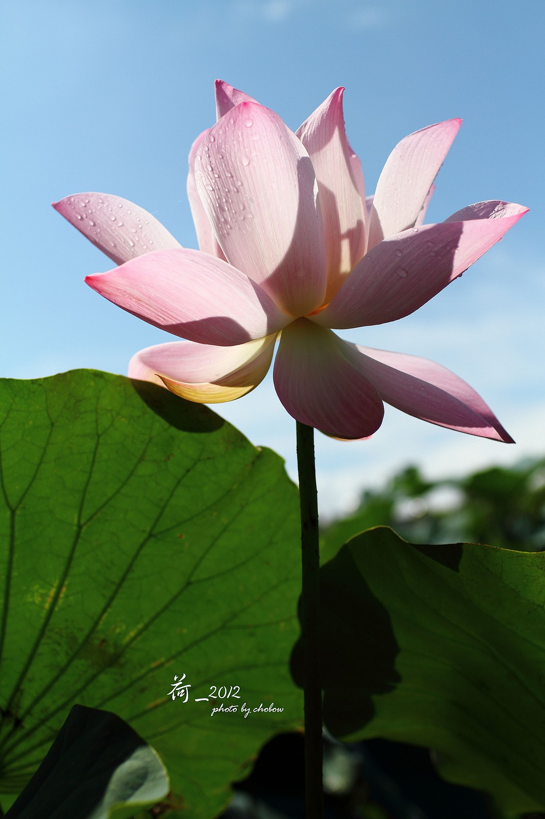 http://i.dcview.tw/gallery/201503/0212c7c454628401043ae739ab4fb993.jpg