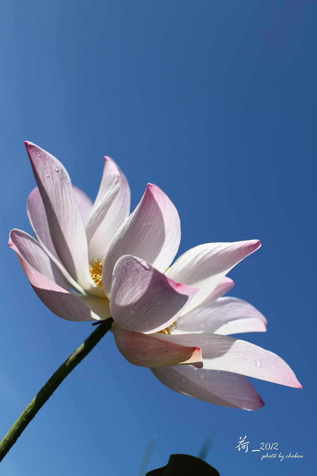 http://i.dcview.tw/gallery/201503/028dea868308d315827078c3518bb245.jpg