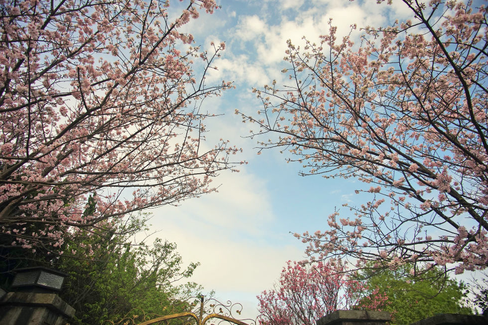 http://i.dcview.tw/gallery/201503/04f2efb94dc830838385f8791b731d91.jpg