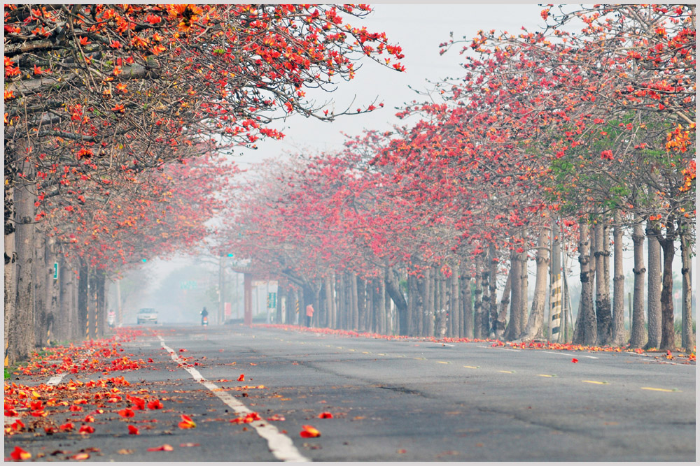 http://i.dcview.tw/gallery/201503/0ef7af6abbb8611fee9099e0c209435a.jpg