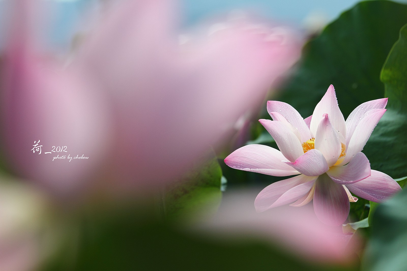http://i.dcview.tw/gallery/201503/18e5287800b0ac5f7d5cf51e11a02e5a.jpg