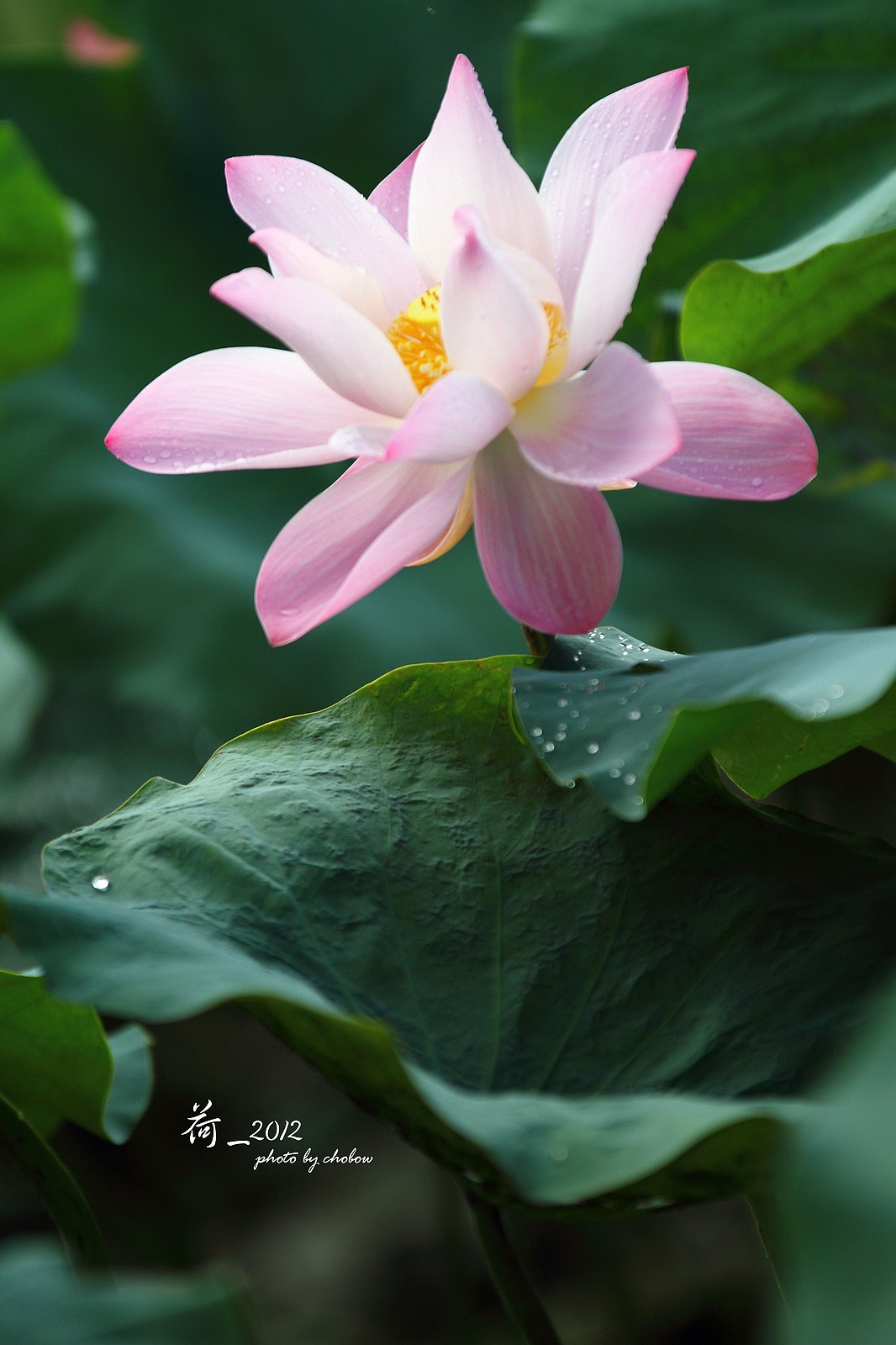 http://i.dcview.tw/gallery/201503/247f71cbb8acdfa9807ef8f5f374cca4.jpg