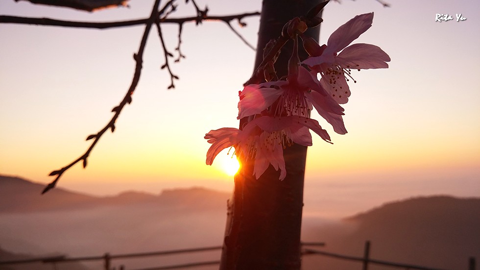 http://i.dcview.tw/gallery/201503/35d7b95f9d1b9aa0f3f1482faa5483d3.jpg