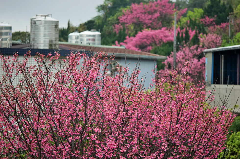 http://i.dcview.tw/gallery/201503/42d21b4afe0785de5138a1f0f3f18dfe.jpg