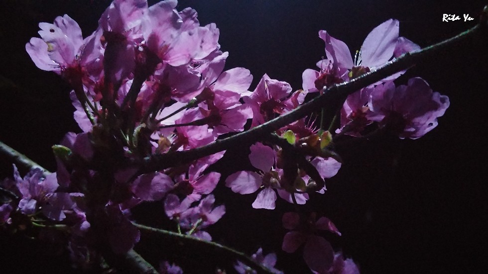 http://i.dcview.tw/gallery/201503/45637e6c8f38d7db451dd925aa7f0d70.jpg