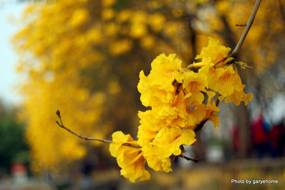 http://i.dcview.tw/gallery/201503/6c626a8175c438dc2bc611f63bb31458.jpg