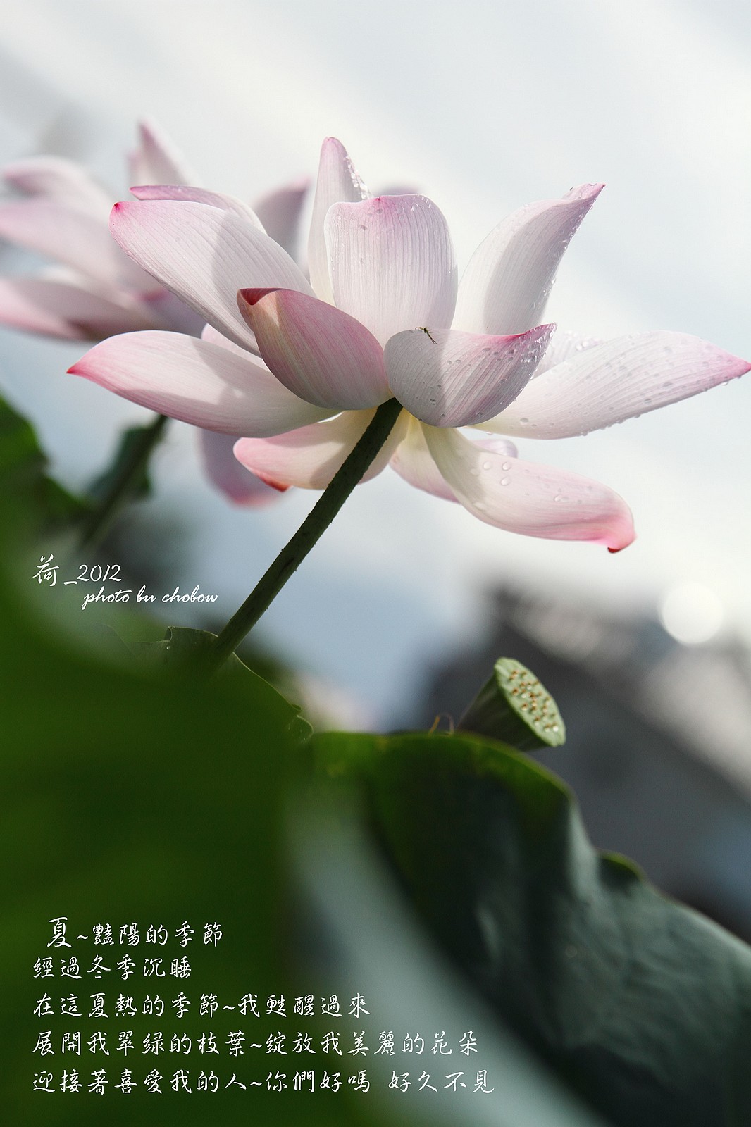 http://i.dcview.tw/gallery/201503/6fc2afa4a734ea4022f87a509a3415ee.jpg