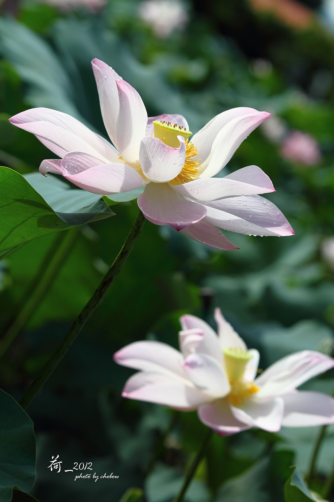 http://i.dcview.tw/gallery/201503/726ca0d5386f1e1861ba5b14ad728df8.jpg
