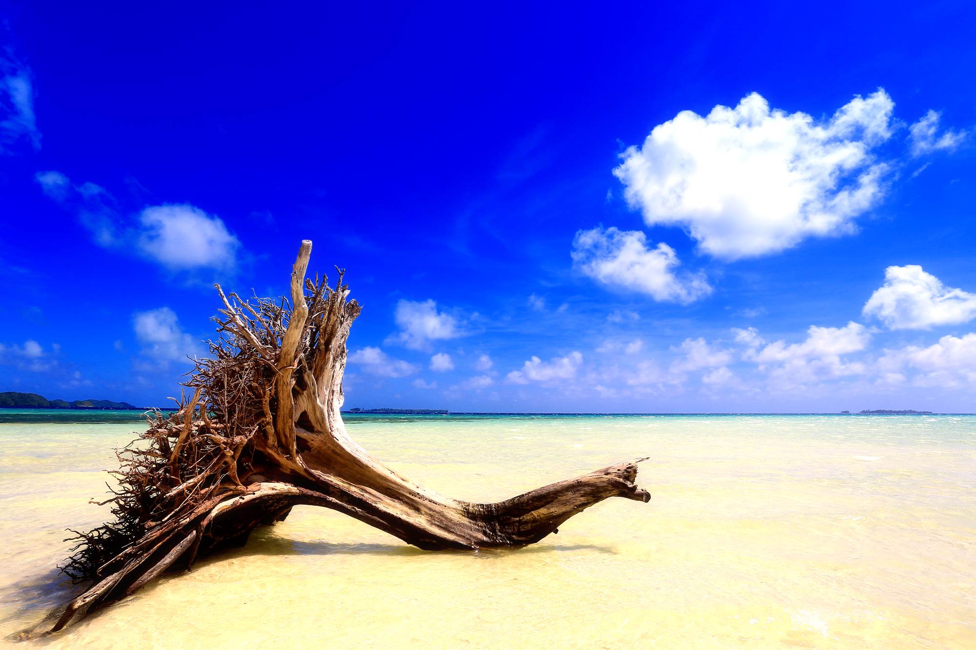 http://i.dcview.tw/gallery/201503/8c754afcf813b1505ca0f1348382b460.jpg