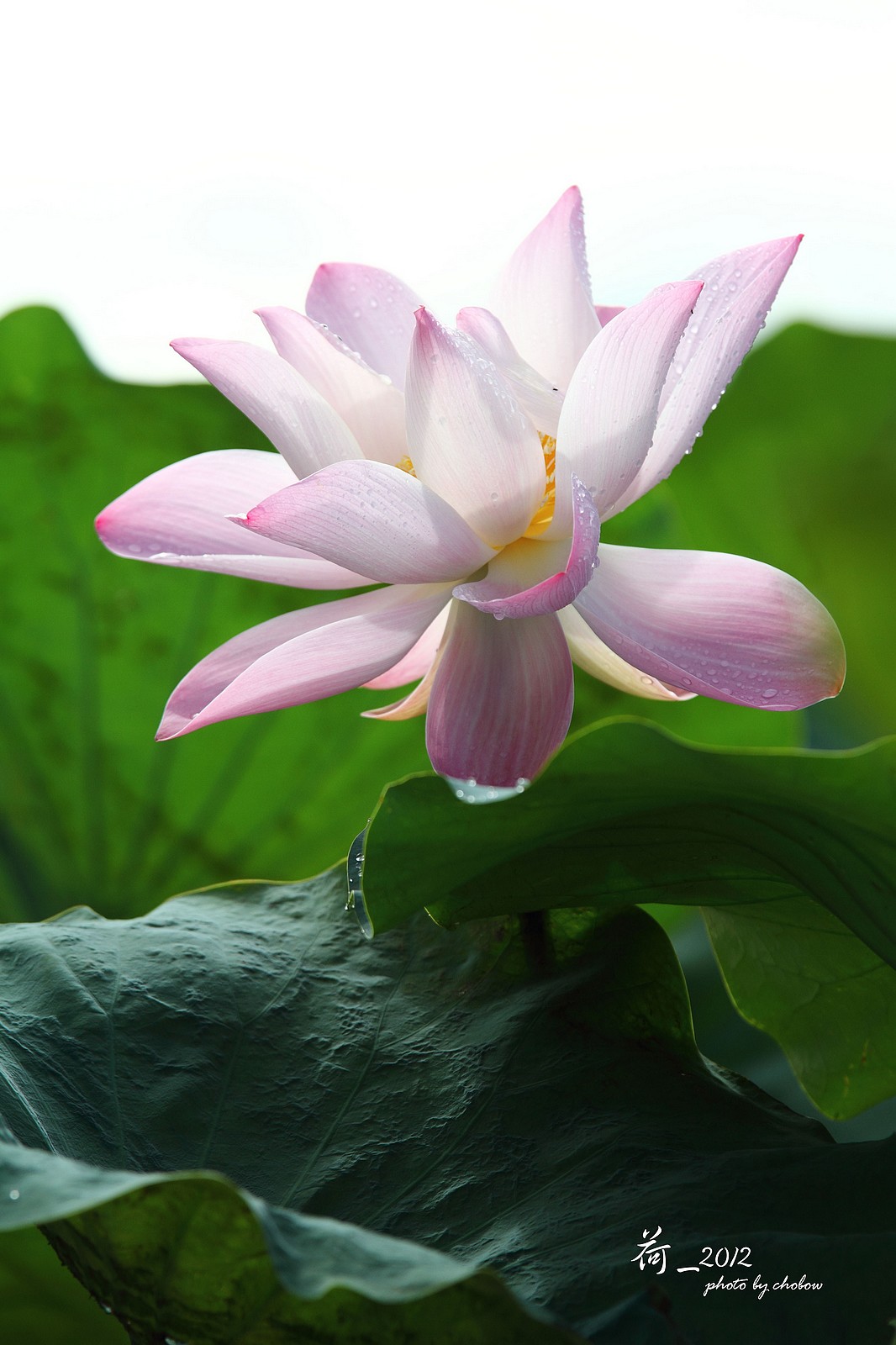 http://i.dcview.tw/gallery/201503/94a0224bcb6f661386cbada70710f8ae.jpg